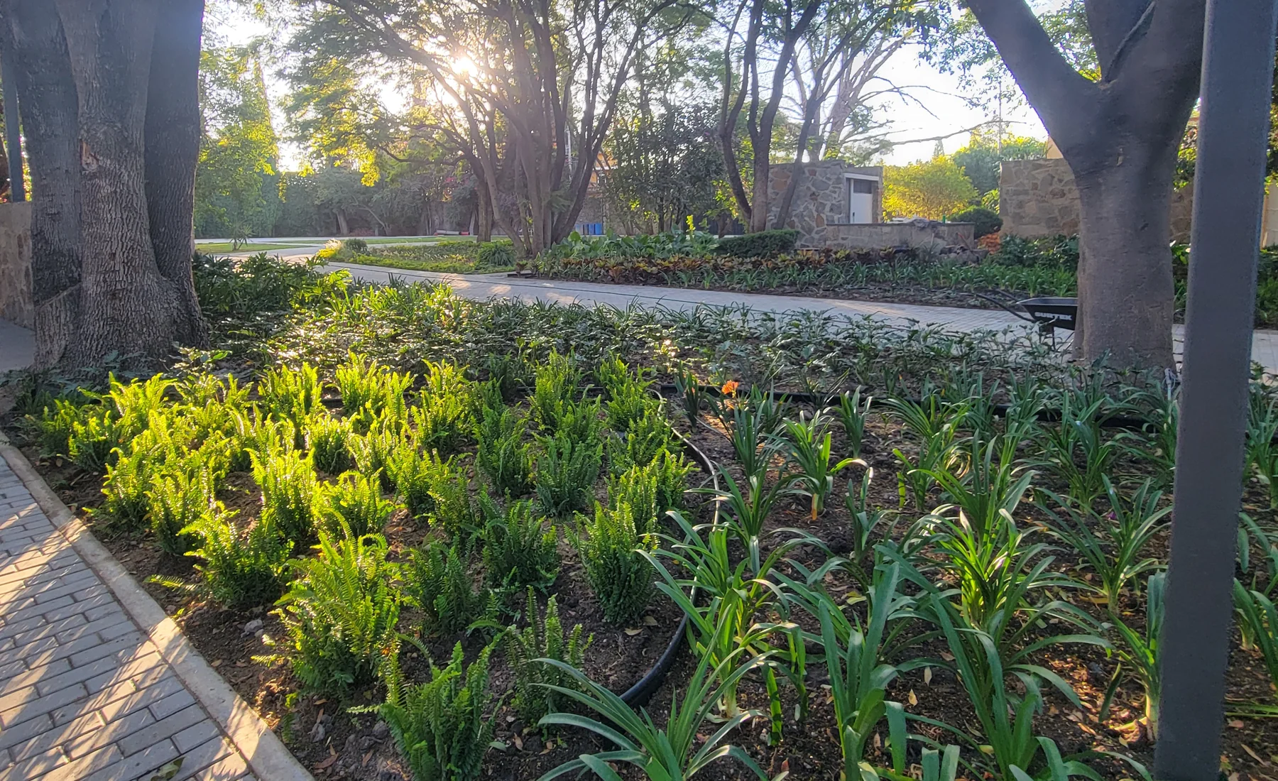 jardines de Nativa